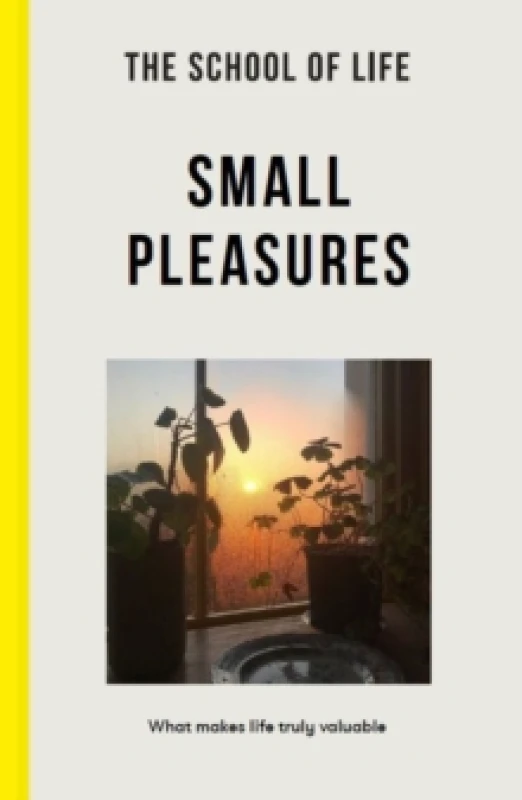 Image of Small Pleasures : What makes life truly valuable Paperback / softback