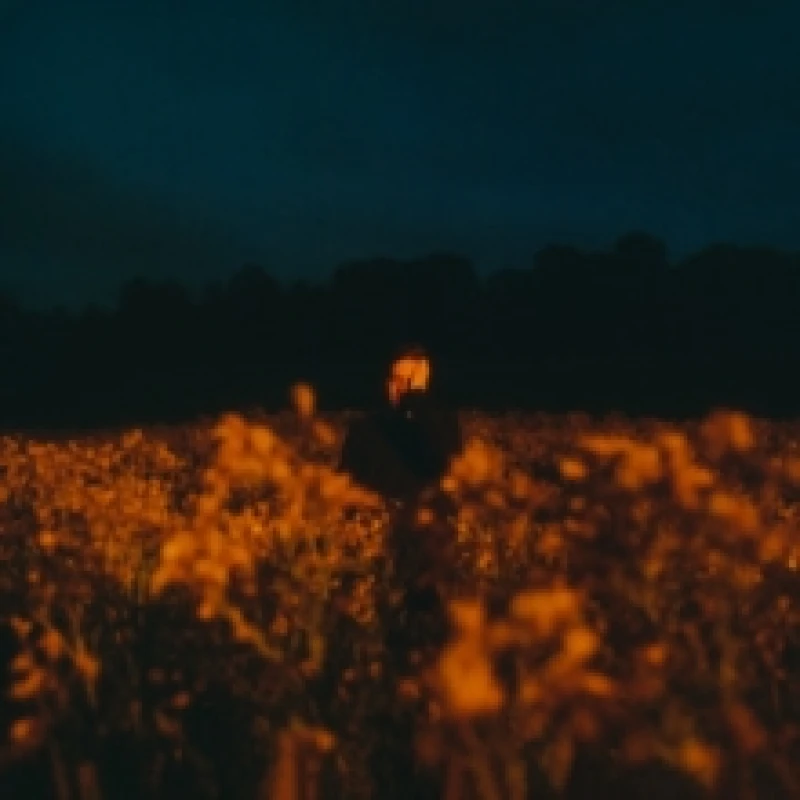 Image of Some Things Break CD / Album