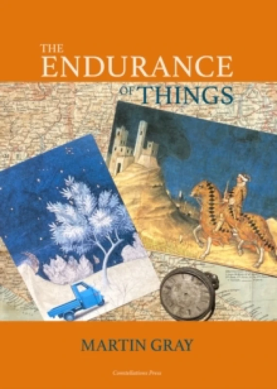 Image of The Endurance of Things Hardback