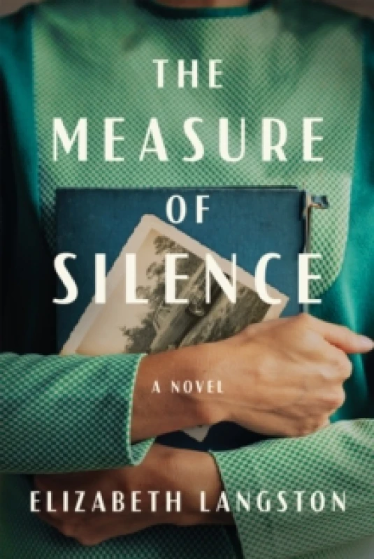 Image of The Measure of Silence : A Novel Paperback / softback