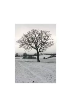 Image of Cope Farm Tree Christmas Card