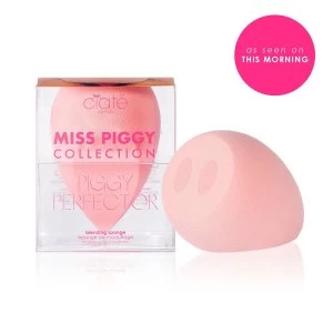 Image of Piggy Perfector