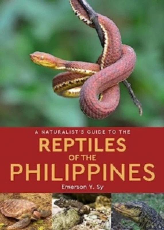 Image of A Naturalist's Guide to the Reptiles of the Philippines Paperback / softback