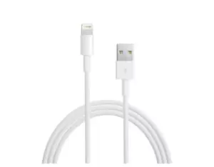 Image of Apple Lightning to USB Cable - 1M (Official)