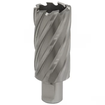 Image of Worksafe RBHSS32L Rotabor Cutter HSS Ø32mm - Cut Depth 50mm