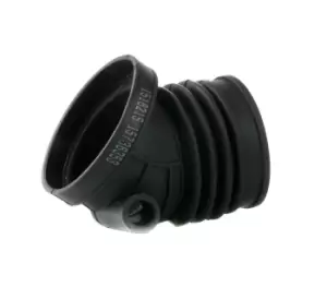 Image of RIDEX Intake Pipe, air filter BMW 1591I0008 13541740073