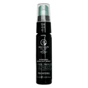 Image of Paul Mitchell Awapuhi Wild Ginger HydroMist Blow-Out Spray 25ml