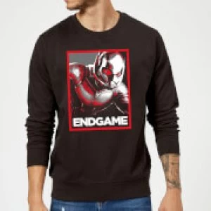 Image of Avengers Endgame Ant-Man Poster Sweatshirt - Black - 5XL