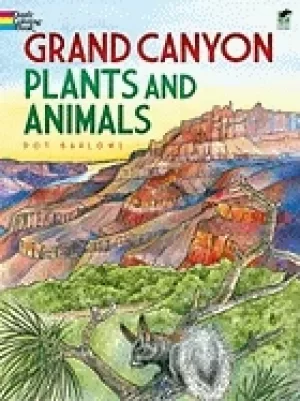 Image of grand canyon plants and animals coloring book