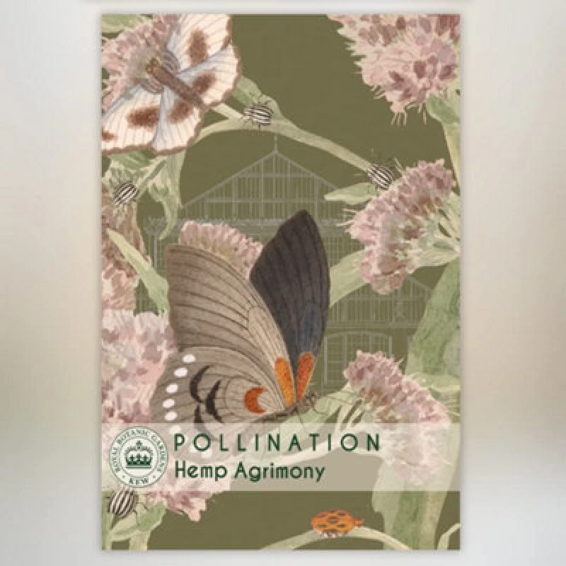 Image of Thompson & Morgan Hemp Agrimony Promo New Kew Range 1 Seed Packet