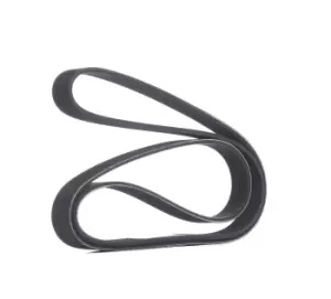 Image of RIDEX V-ribbed belt 305P0147 Serpentine belt,Auxiliary belt VW,AUDI,BMW,Golf V Schragheck (1K1),TOURAN (1T1, 1T2),GOLF VI (5K1)