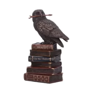 Image of Bronze Spellcraft Witches Familiar Owl on Book Figurine