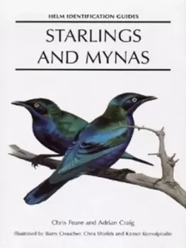 Image of Starlings and mynas by Adrian Craig