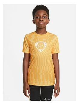 Image of Boys, Nike Youth Dry Academy Top - Gold, Size M