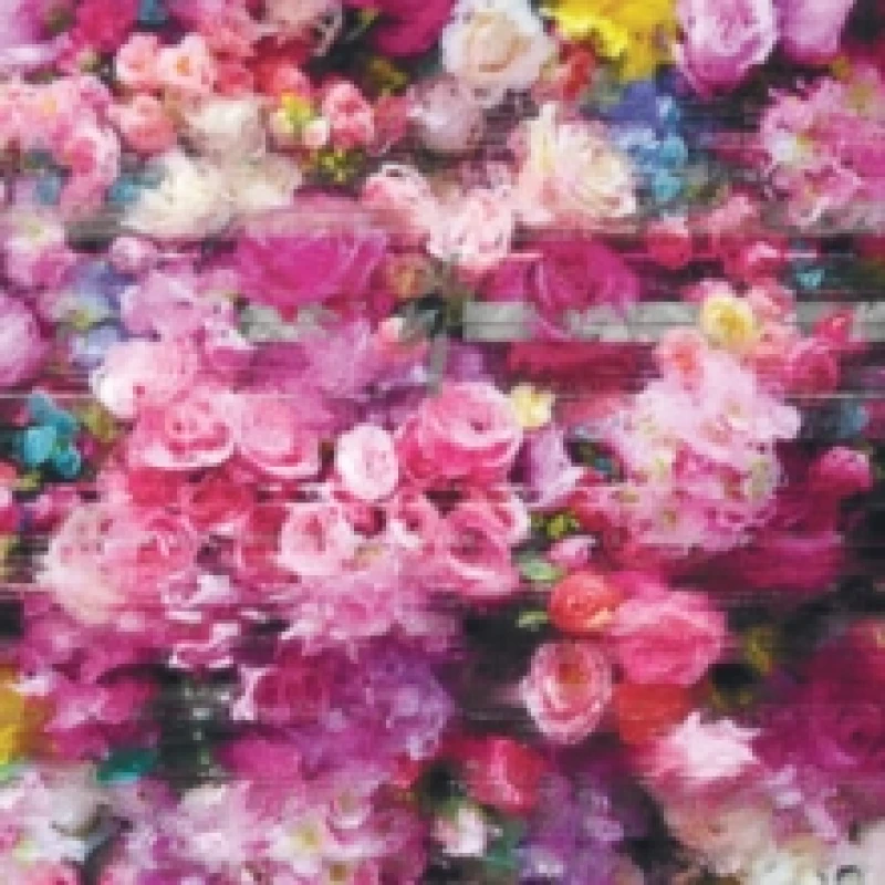 Image of Systeme Vinyl