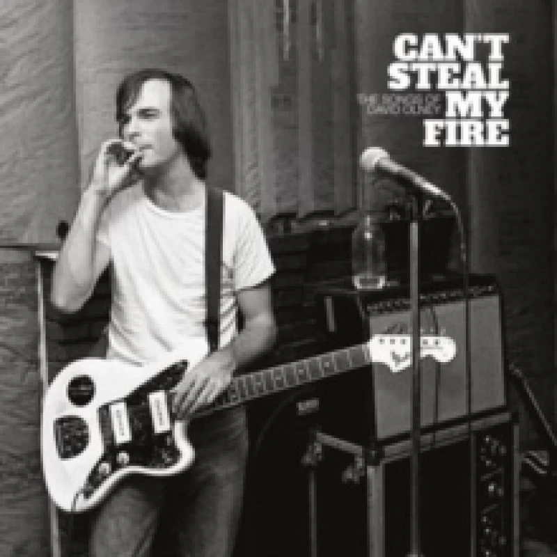 Image of Can't Steal My Fire: The Songs of David Olney Vinyl