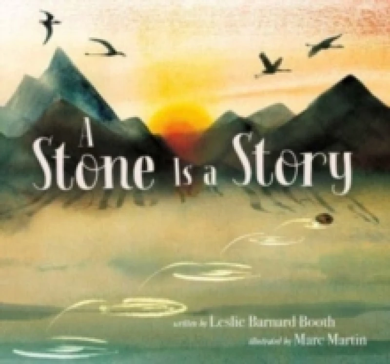 Image of A Stone Is a Story Hardback