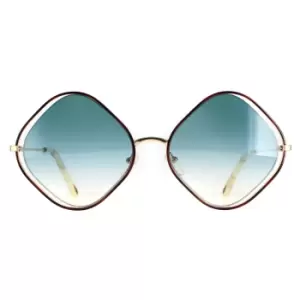 Image of Square Havana and Gold Blue Gradient CE159S Poppy Sunglasses