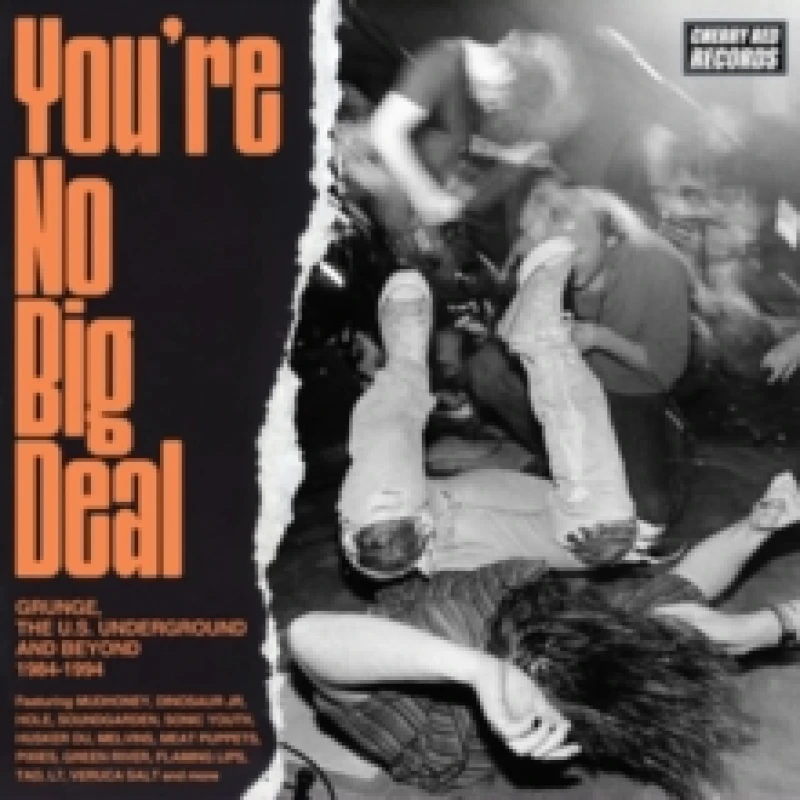 Image of You're No Big Deal: Grunge, the U.S. Underground and Beyond 1984-1994 CD / Box Set