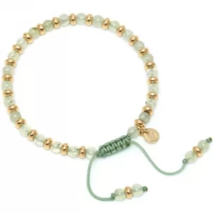Image of Ladies Lola Rose Gold Plated Prehnite Compton Bracelet