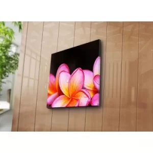 Image of 4545K-68 Multicolor Decorative Canvas Painting