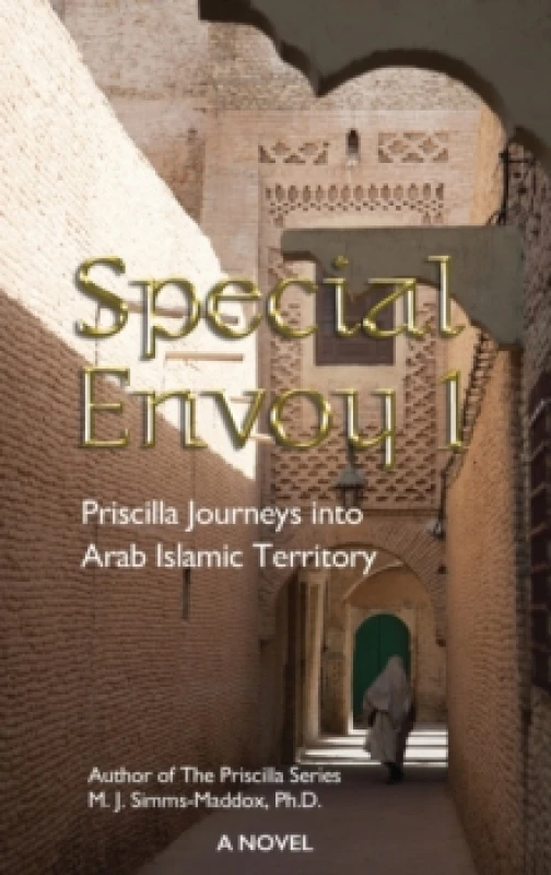 Image of Special Envoy 1 Hardback