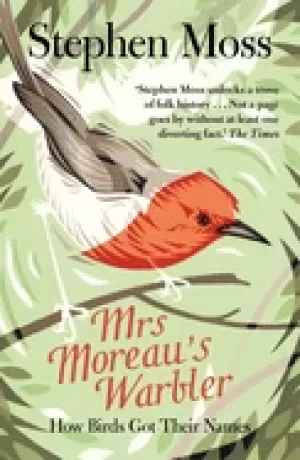 Image of mrs moreaus warbler how birds got their names