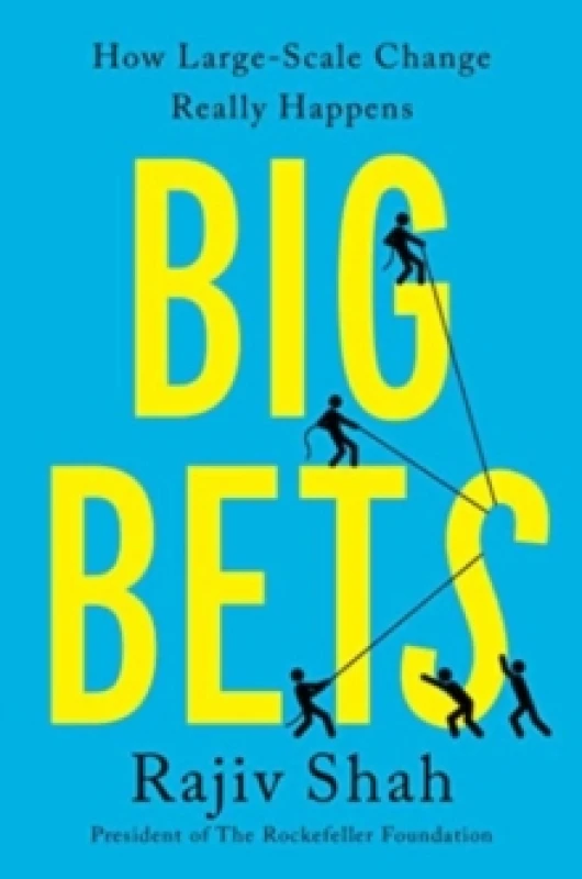 Image of Big Bets : How Large-Scale Change Really Happens Hardback