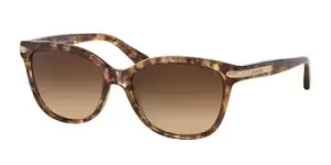 Image of Coach Sunglasses HC8132 528713