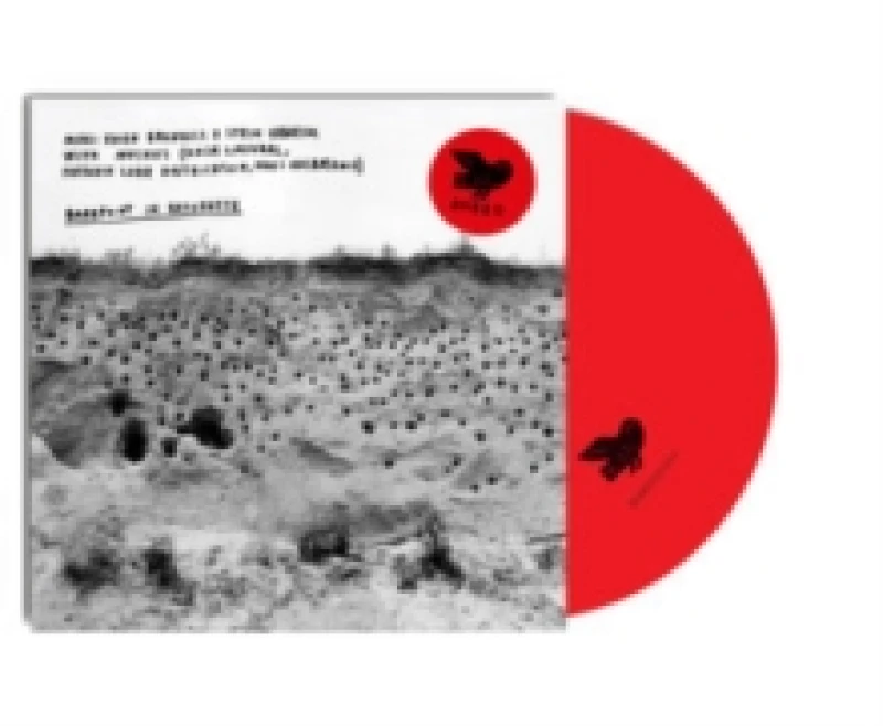 Image of Barefoot in Bryophyte CD / Album