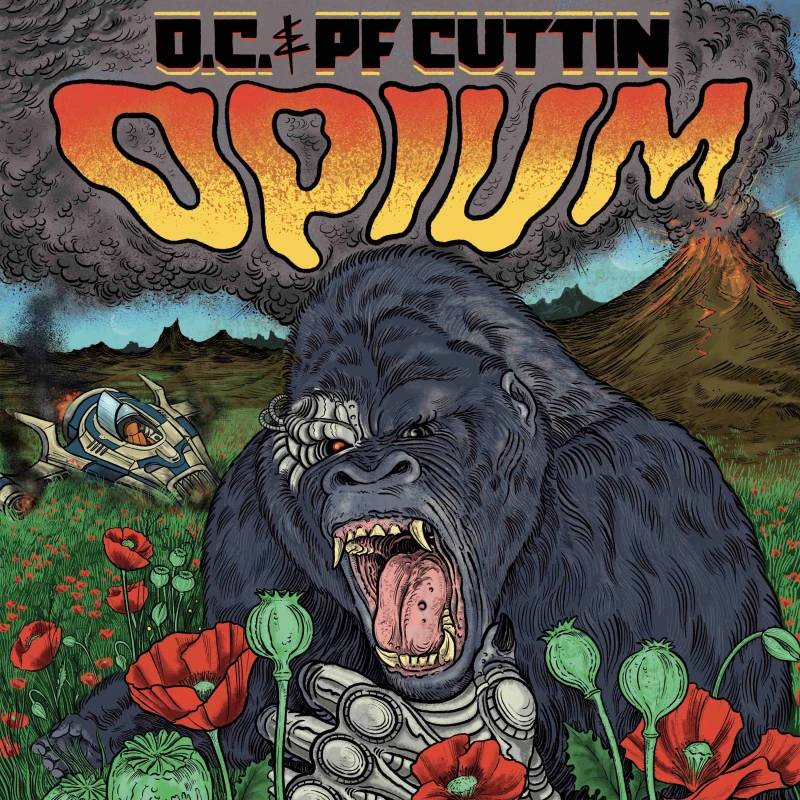 Image of Opium Vinyl