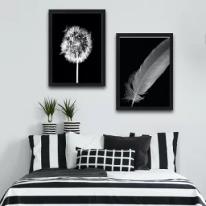 Image of Dandelion Feather Set Multicolor Decorative Framed Painting (2 Pieces)