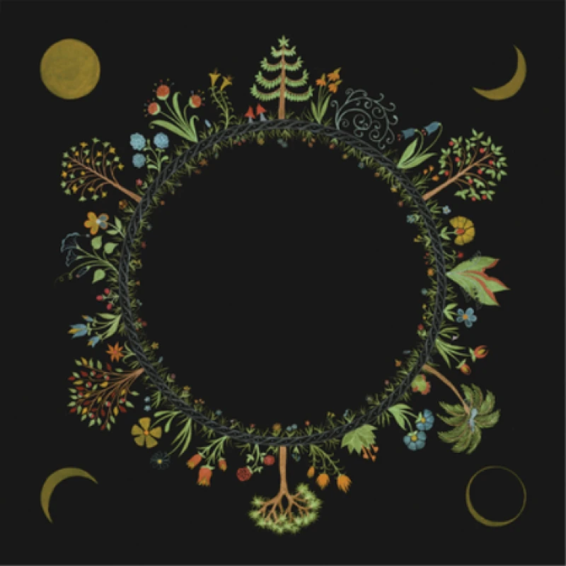 Image of Wheel CD / Album