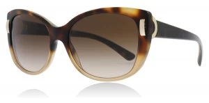 Image of Bvlgari BV8170 Sunglasses Havana 536213 57mm