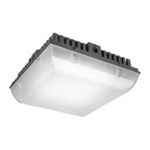 Image of LED Outdoor Ceiling Light Black IP65