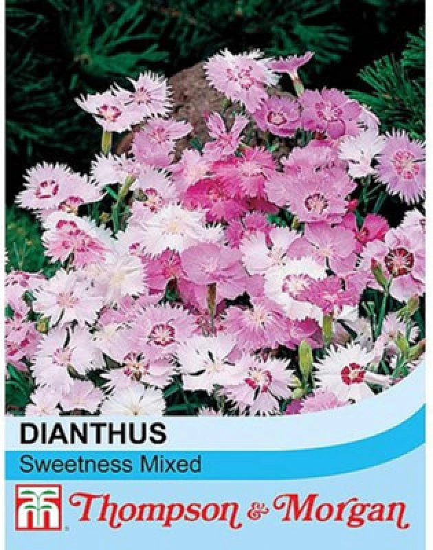 Image of Thompson & Morgan Dianthus Plumarius Sweetness Mixed 1 Seed Packet (20 Seeds)