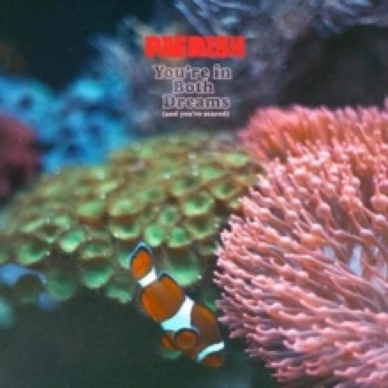 Image of You're in Both Dreams (And You're Scared) CD / Album