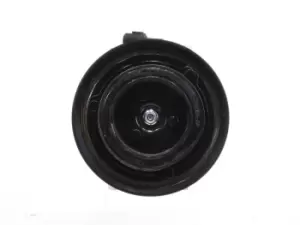 Image of ALANKO AC Compressor 10550919 Compressor, air conditioning HYUNDAI,KIA,i30 (FD),SANTA FE II (CM),i30 CW (FD),SONATA V (NF),GRANDEUR (TG)