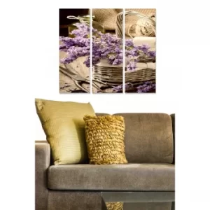 Image of MDF1267269 Multicolor Decorative MDF Painting (3 Pieces)