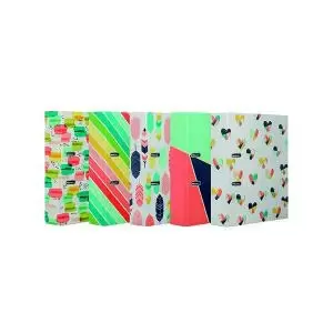 Image of Pukka Pad Fashion Lever Arch File Assorted Pack of 10 9466-FFASST