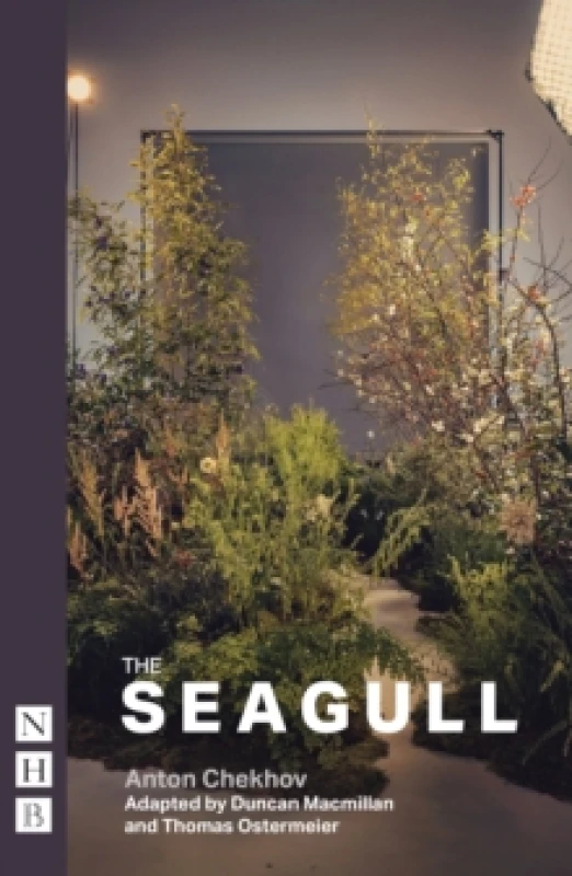 Image of The Seagull Paperback / softback