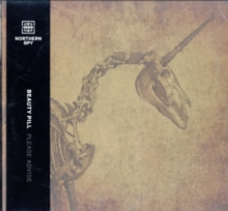 Image of Please Advise (Extra track Edition) Vinyl