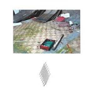 Image of Swallow &ndash; Body Horror Vinyl