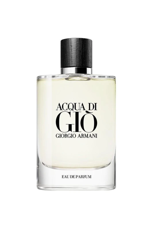 Image of Armani Acqua Di Gio Homme Eau de Parfum 100ml
