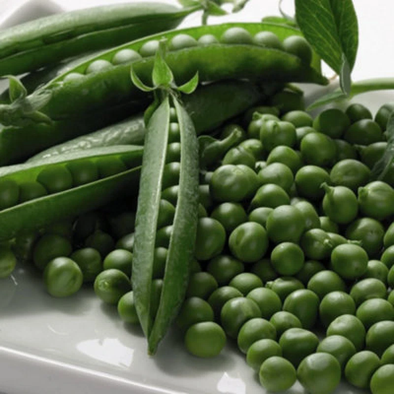 Image of Thompson & Morgan Pea Boogie 1 Seed Packet (250 Seeds)