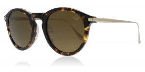 Image of dunhill SDH019 Sunglasses Brown Havana 909P Polariserade 49mm