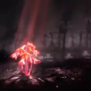 Image of Enter Shikari A kiss for the whole world CD multicolor