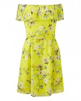 Image of Oasis Curve Daisy Haze Bardot Skater