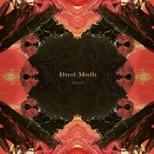 Image of Dust Moth - Scale Vinyl