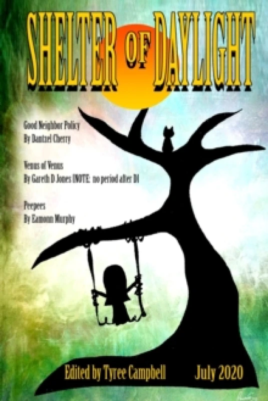 Image of Shelter of Daylight June 2020 Paperback / softback